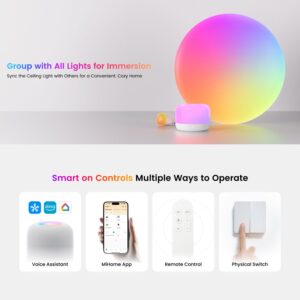 Đèn ốp trần Yeelight Arwen D Series – RGBICWW