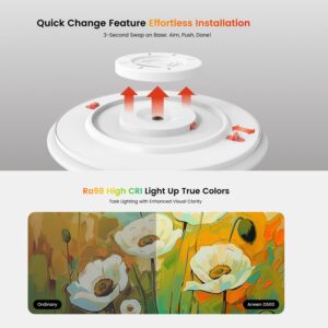 Đèn ốp trần Yeelight Arwen D Series – RGBICWW