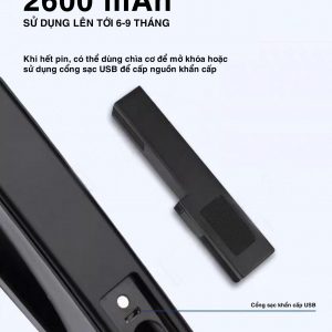 Khóa thông minh nhận diện khuôn mặt Metalock AZK-A04 Pro