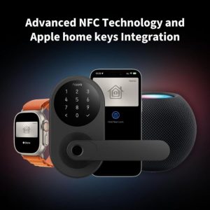 Smart Lock Aqara U300