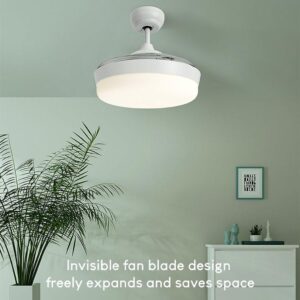 Đèn quạt Yeelight C2101C1060