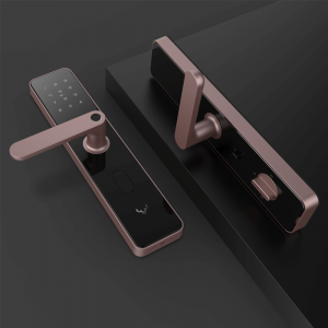 Khóa cửa thông minh Xiaomi Lockin X1, 6 cách mở khóa
