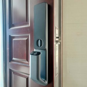 Khóa vân tay Lockin SV40