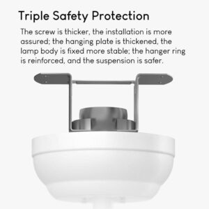 Đèn quạt Yeelight C2101C1060