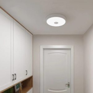 Đèn ốp trần Yeelight cảm biến 250 YLXD09YL