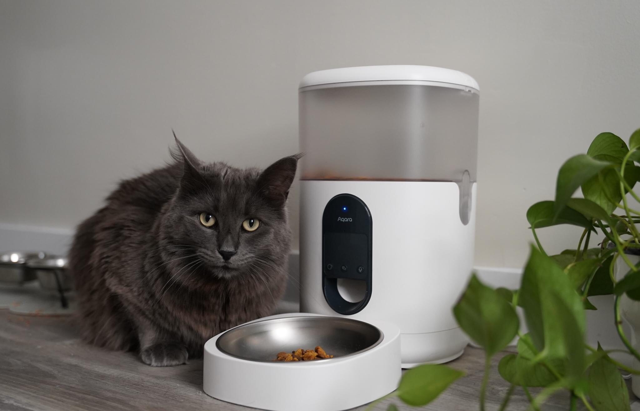 Máy cho thú cưng ăn tự động Aqara Pet Feeder C1 PETC1-M01 Máy cho thú cưng ăn tự động Aqara Pet Feeder C1 PETC1-M01