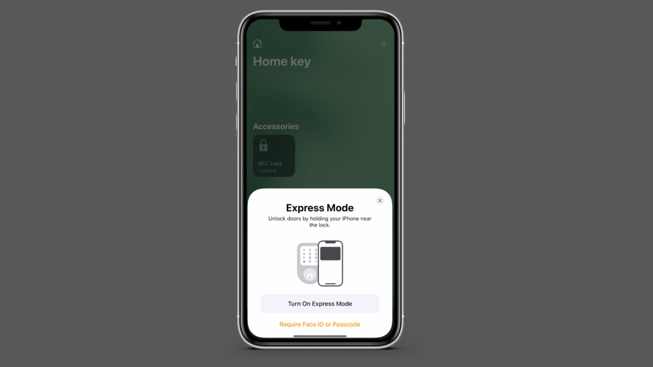 Apple Homekey