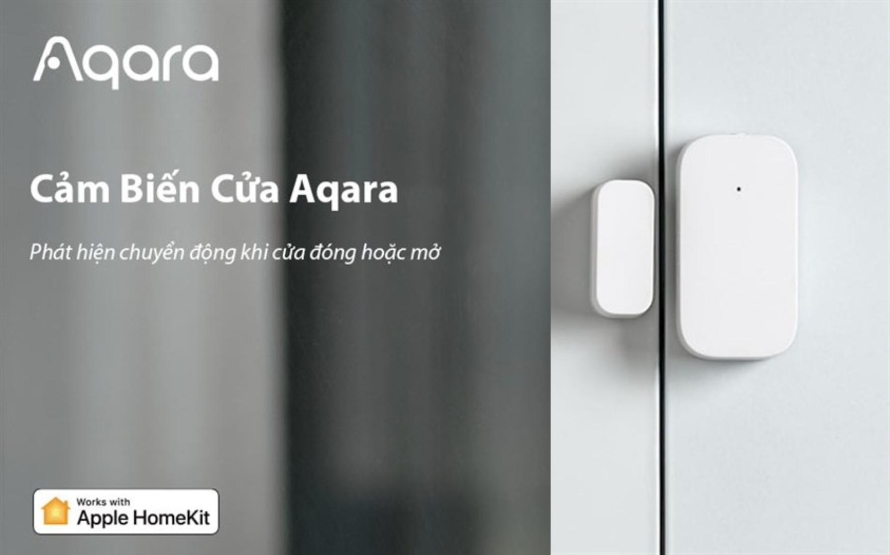 Top 4 Cảm biến cửa Aqara nên sử dụng